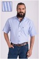 Korte mouw gestreept casual overhemd Plus Man