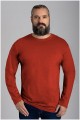 Uni basis lange mouw t-shirt van Forestal